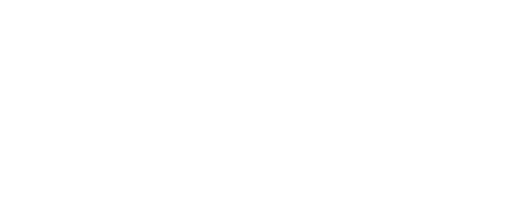 The Survey Group